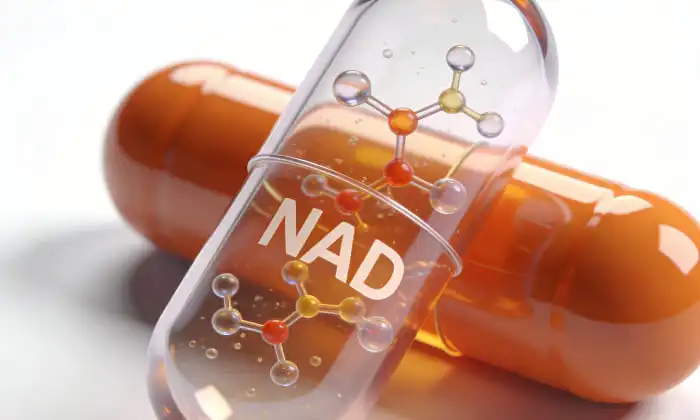 Liposomal NAD+ Powder Wholesale Guide: Prices, Grades, Purity